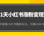 21天小红书涨粉变现营(第4期):带你掌握小红书爆款玩法,月赚10W+秘密-网赚项目众筹网
