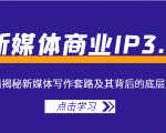 新媒体商业IP3.0,全面揭秘新媒体写作套路及其背后的底层逻辑(价值1299元)-网赚项目众筹网