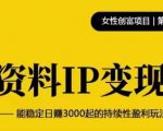 资料IP变现,能稳定日赚3000起的持续性盈利玩法-网赚项目众筹网