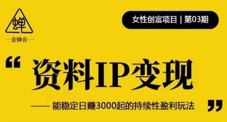 资料IP变现，能稳定日赚3000起的持续性盈利玩法-网赚项目众筹网