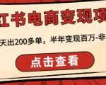 顽石·小红书电商变现项目,实测当天出200多单,半年变现百万,非常稳定-网赚项目众筹网