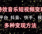黄岛主《粒子特效音乐短视频变现项目》主攻平台抖音、快手、视频号多种变现方法-网赚项目众筹网