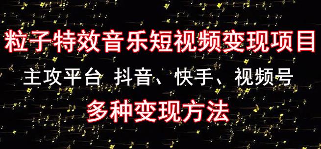 黄岛主《粒子特效音乐短视频变现项目》主攻平台抖音、快手、视频号多种变现方法-网赚项目众筹网