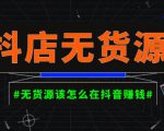 启哥抖店无货源店群陪跑计划,一个人在家就能做的副业,月入10000+-网赚项目众筹网