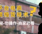 外面收费2980的全平台电商白嫖撸货技术(仅揭秘勿操作-商家防范必看)-网赚项目众筹网
