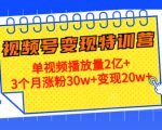 21天视频号变现特训营：单视频播放量2亿+3个月涨粉30w+变现20w+（第14期）-网赚项目众筹网