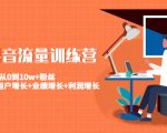 美业抖音流量训练营：从0到10w+粉丝 让你的门店用户增长+业绩增长+利润增长-网赚项目众筹网