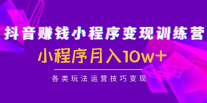 抖音赚钱小程序变现训练营：小程序月入10w+各类玩法运营技巧变现-网赚项目众筹网
