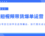 2023短视频带货爆单运营,从账号定位到学会选预爆品,到代理完成出单(价值1250元)-网赚项目众筹网