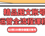 精品图文账号运营全流程课程 从0到100教你做图文账号-网赚项目众筹网