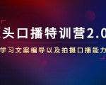 镜头口播特训营2.0版,学习文案编导以及拍摄口播能力(50节课时)-网赚项目众筹网