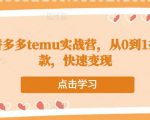 跨境拼多多temu实战营,从0到1打造爆款,快速变现-网赚项目众筹网