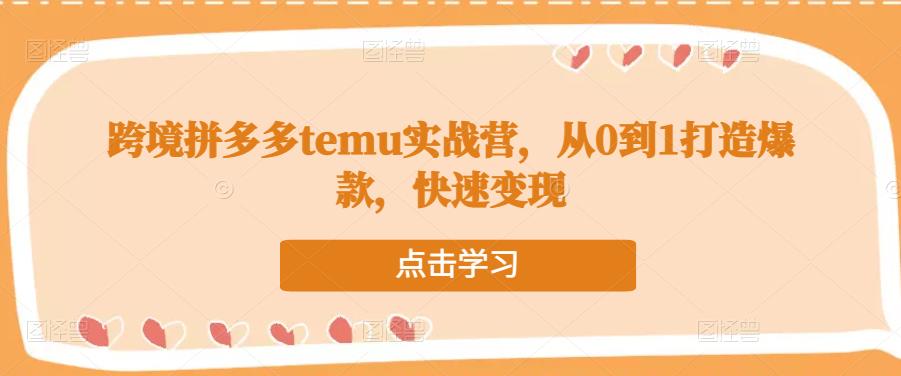 跨境拼多多temu实战营，从0到1打造爆款，快速变现-网赚项目众筹网