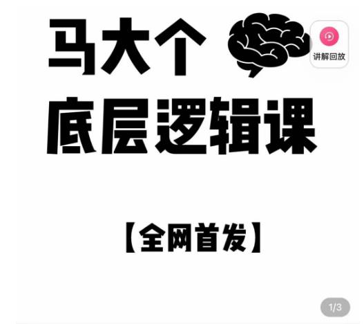 马大个·底层逻辑课，51节底层逻辑智慧课-价值1980元-网赚项目众筹网