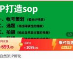 瑶瑶·自然流IP孵化,系统掌握IP孵化全流程,也能学到选题,剪辑,账号运营经验-网赚项目众筹网