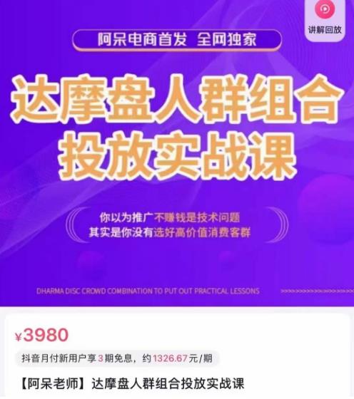 阿呆电商·达摩盘人群组合投放实战课，你以为推广不赚钱是技术问题，其实是你没有选好高价值消费客群-网赚项目众筹网