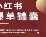 小红书爆单锦囊,自带种草属性+高质量女性用户,为你的企业开辟一条新的掘金路径-网赚项目众筹网