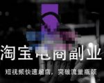 蓝Sir派·淘宝短视频快速起店,替代传统搜索方式,学会做一个不一样的淘宝店-网赚项目众筹网