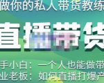 硬核传媒·直播带货(私人教练),实操实战教学,通俗易懂,学完后新手小白一个人也能做带货-网赚项目众筹网