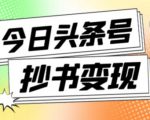 外面收费588的最新头条号软件自动抄书变现玩法,单号一天100+(软件+教程+玩法)-网赚项目众筹网