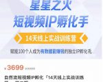 瑶瑶·自然流短视频IP孵化第二期,14天线上实战训练营,赋能100个人成为有数据能赚钱的独立IP孵化手-网赚项目众筹网