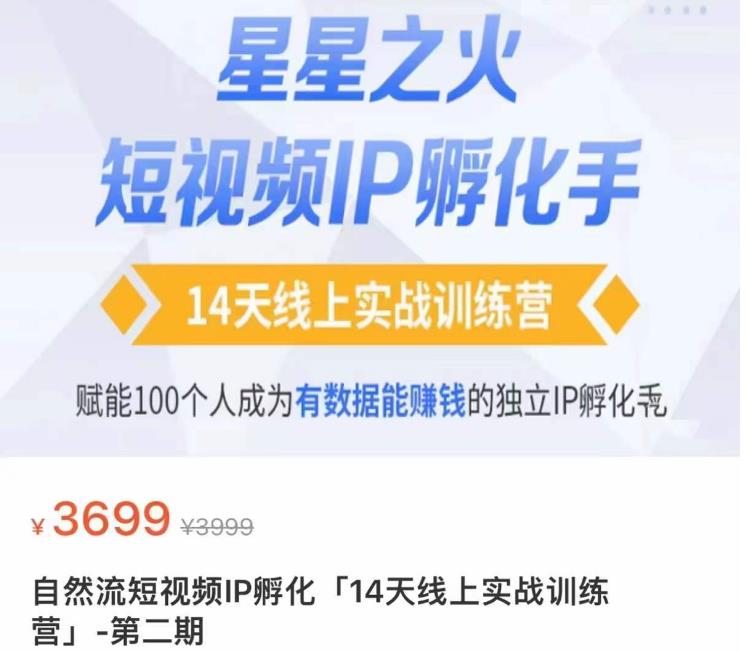 瑶瑶·自然流短视频IP孵化第二期，14天线上实战训练营，赋能100个人成为有数据能赚钱的独立IP孵化手-网赚项目众筹网