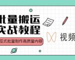 视频号批量搬运实战操作运营赚钱教程,傻瓜式批量制作高质量内容【附视频教程+PPT】-网赚项目众筹网