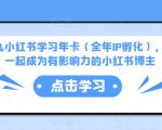 厦九九小红书学习年卡(全年IP孵化),沉浸式学习,一起成为有影响力的小红书博主-网赚项目众筹网