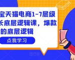 大圣淘宝天猫电商1-7层级盈利增长底层逻辑课,爆款的底层逻辑-网赚项目众筹网