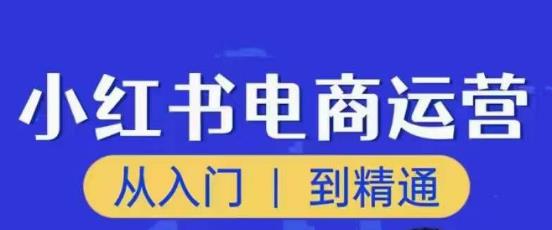 顽石小红书电商高阶运营课程，从入门到精通，玩法流程持续更新-网赚项目众筹网