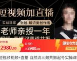 张越·短视频+直播,自然流三频共振起号实操课,短视频所有流量玩法讲解-网赚项目众筹网