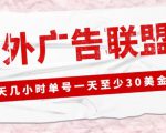 外面收费1980的最新国外LEAD广告联盟搬砖项目,单号一天至少30美金【详细玩法教程】-网赚项目众筹网