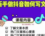 新手做抖音如何写文案,手把手实操如何拆解热门文案-网赚项目众筹网