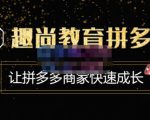 趣尚教育·拼多多运营实操VIP特训营,让拼多多商家快速成长-价值3180元-网赚项目众筹网