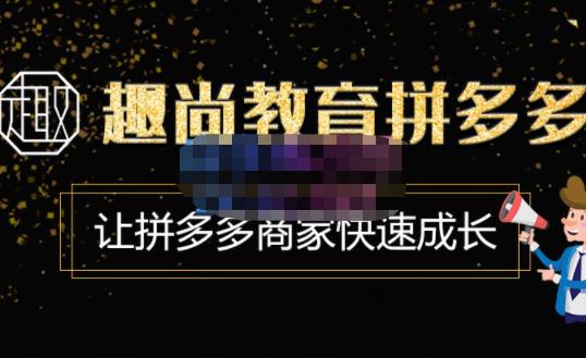 趣尚教育·拼多多运营实操VIP特训营，让拼多多商家快速成长-价值3180元-网赚项目众筹网