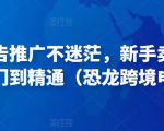 亚马逊广告推广不迷茫,新手卖家产品运营入门到精通(恐龙跨境电商)-网赚项目众筹网