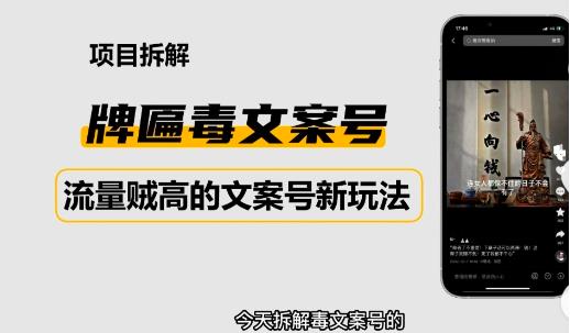 2023抖音快手毒文案新玩法，牌匾文案号，起号快易变现-网赚项目众筹网