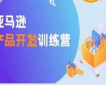 亚马逊产品开发训练营,能爆单的产品开发方法,助你突出重围-网赚项目众筹网