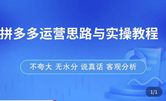 拼多多店铺运营思路与实操教程，快速学会拼多多开店和运营，少踩坑，多盈利-网赚项目众筹网
