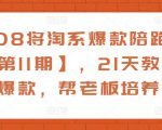 108将淘系爆款陪跑营【第11期】,21天教运营打爆款,帮老板培养运营-网赚项目众筹网