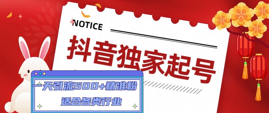 抖音独家起号，一天引流500+精准粉，适合各类行业（9节视频课）-网赚项目众筹网