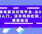 跨境电商沃尔玛平台-从0基础到入门,沃尔玛的红利,跨境新玩法-网赚项目众筹网