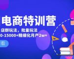 美团电商特训营:美团·店群玩法,无脑铺货月产出6000-15000+精细化月产2w+-网赚项目众筹网