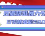 豆瓣精准暴力引流,日引精准粉500+【12课时】-网赚项目众筹网