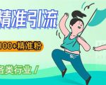 soul精准引流系列课程,一天引流100+精准粉,适合各类行业-网赚项目众筹网