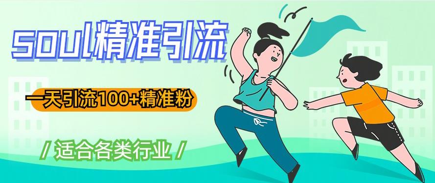soul精准引流系列课程，一天引流100+精准粉，适合各类行业-网赚项目众筹网