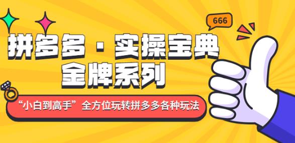 拼多多·实操宝典：金牌系列“小白到高手”带你全方位玩转拼多多各种玩法-网赚项目众筹网