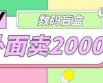 外面卖188抖音最火数码盲盒项目,自己搭建自己玩【全套源码+详细教程】-网赚项目众筹网
