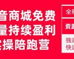 抖音商城搜索持续盈利陪跑成长营,抖音商城搜索从0-1、从1到10的全面解决方案-网赚项目众筹网
