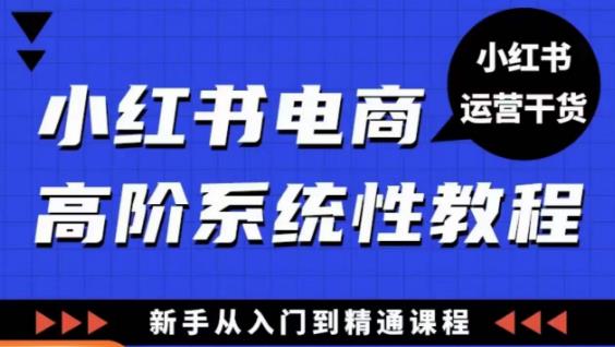 小红书电商高阶系统教程，新手从入门到精通系统课-网赚项目众筹网